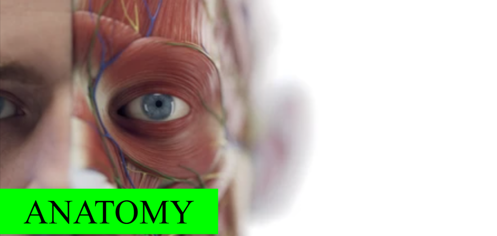 course thumbnail